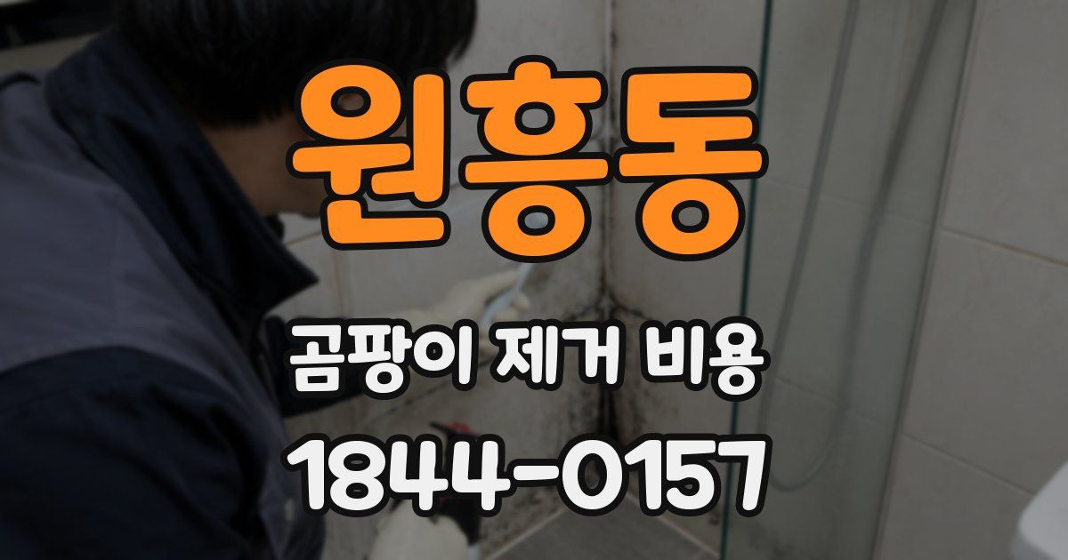 원흥동 곰팡이 제거 비용