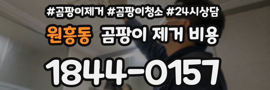 원흥동 곰팡이 제거 비용