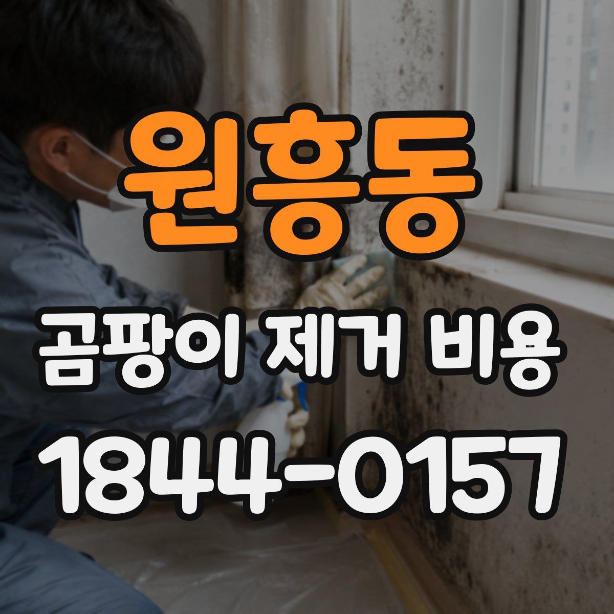원흥동 곰팡이 제거 비용