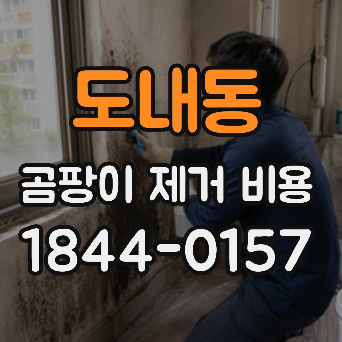 도내동 곰팡이 제거 비용