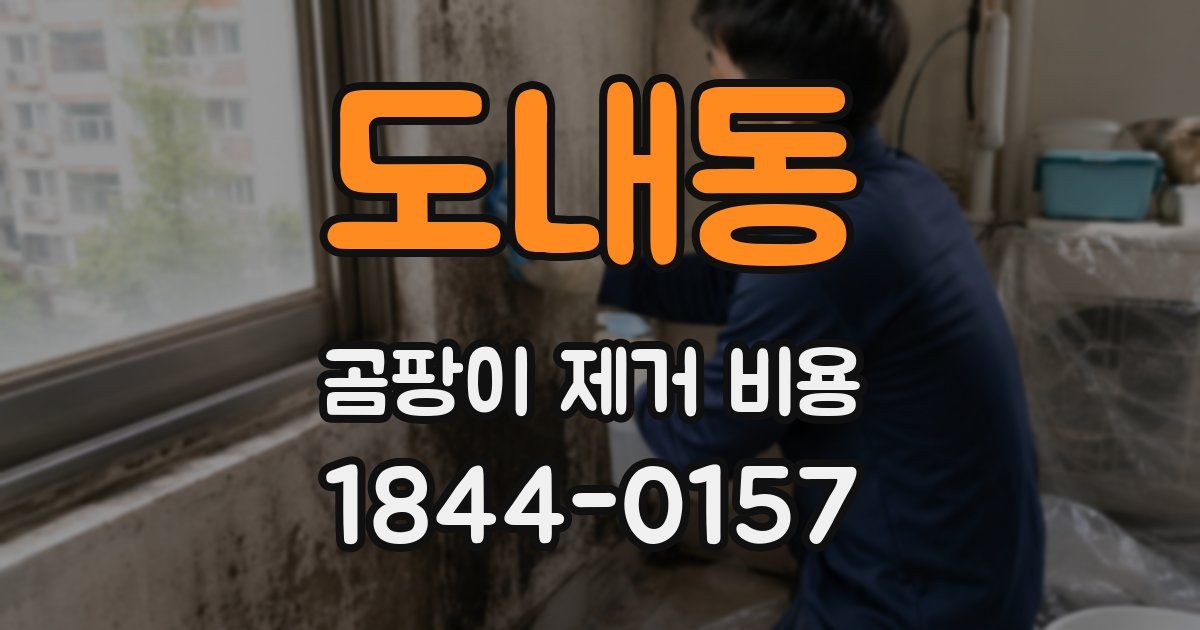 도내동 곰팡이 제거 비용