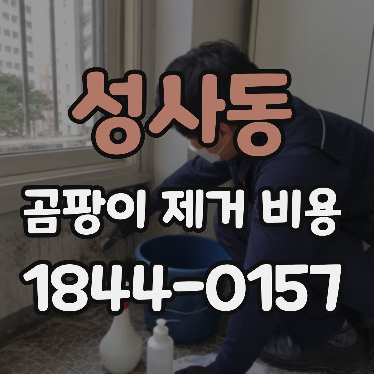 성사동 곰팡이 제거 비용