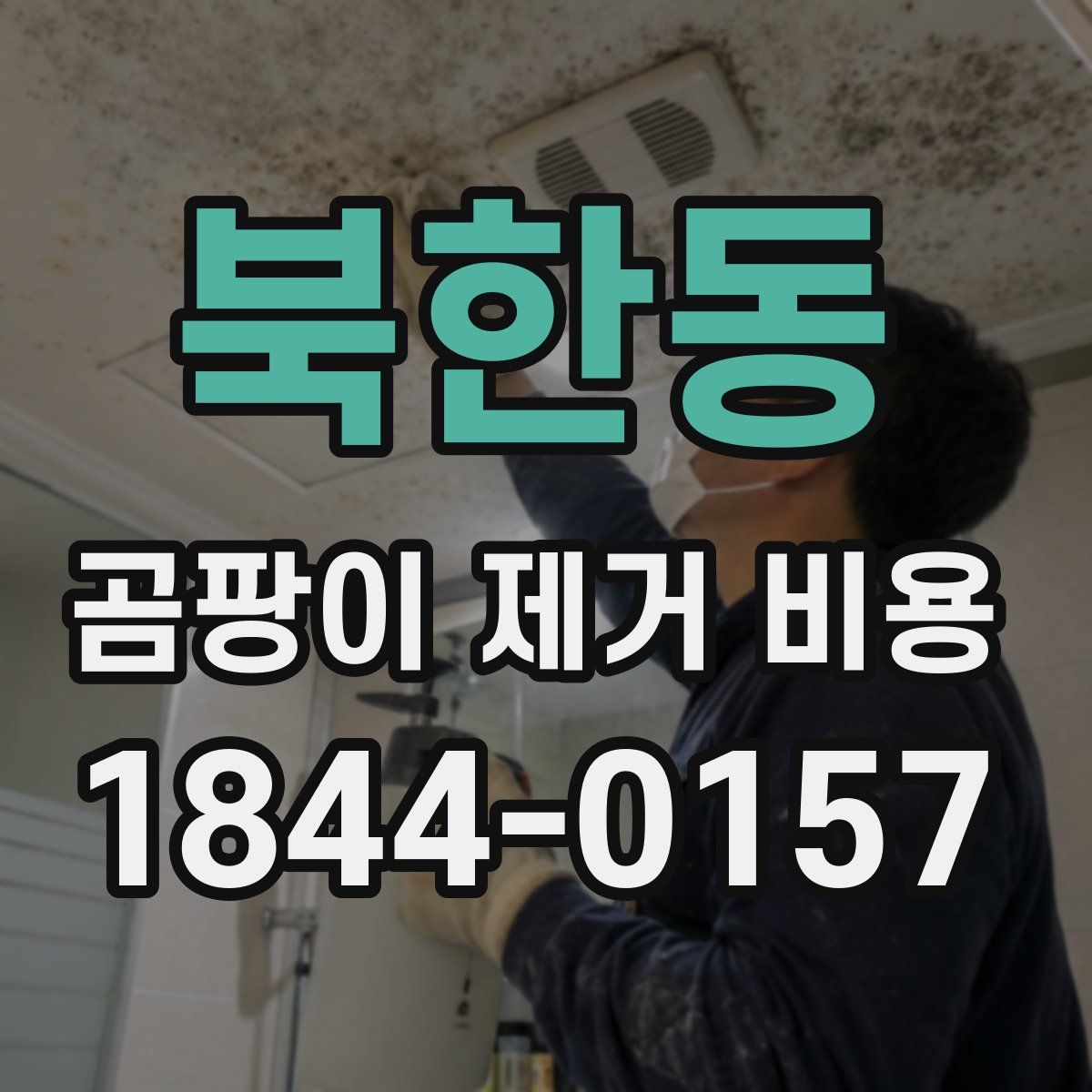북한동 곰팡이 제거 비용