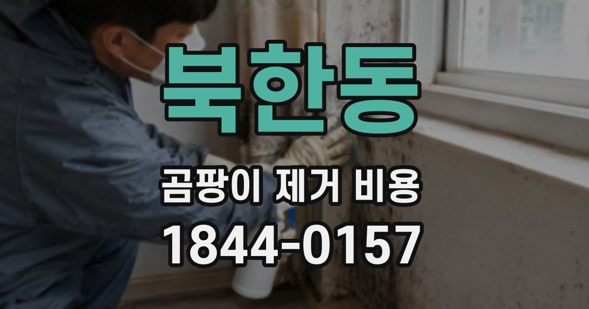 북한동 곰팡이 제거 비용