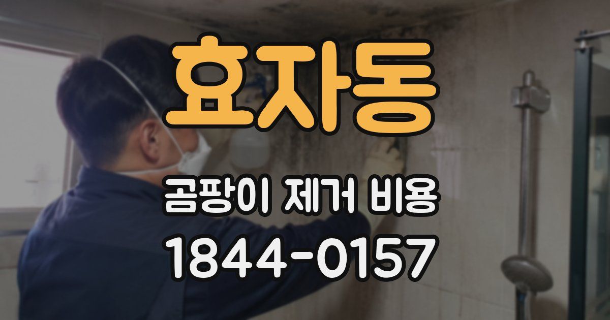효자동 곰팡이 제거 비용