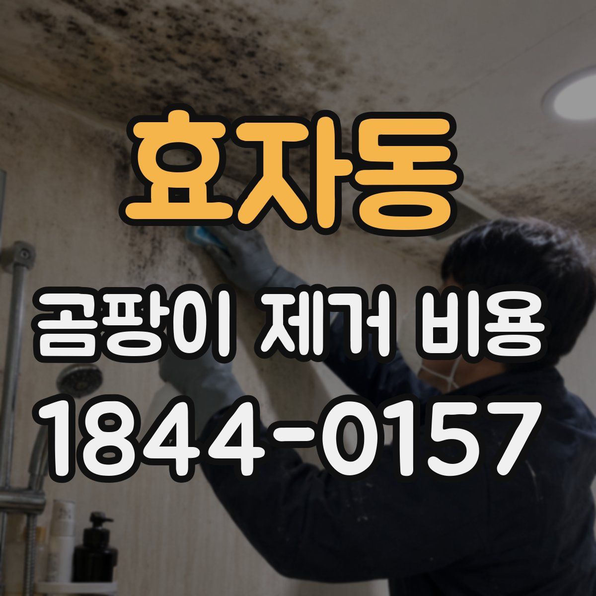 효자동 곰팡이 제거 비용