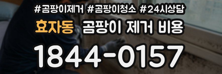 효자동 곰팡이 제거 비용