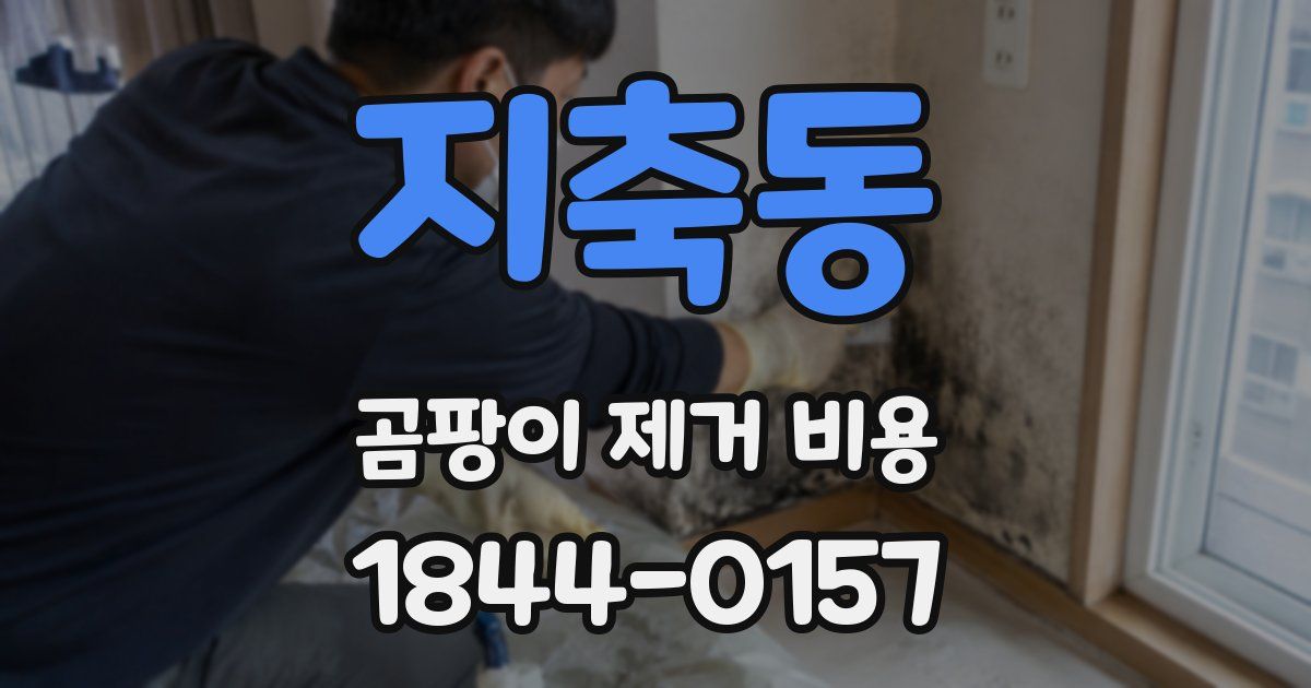 지축동 곰팡이 제거 비용