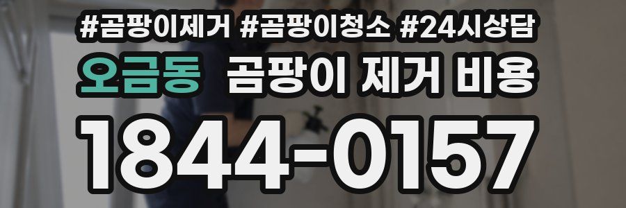 오금동 곰팡이 제거 비용