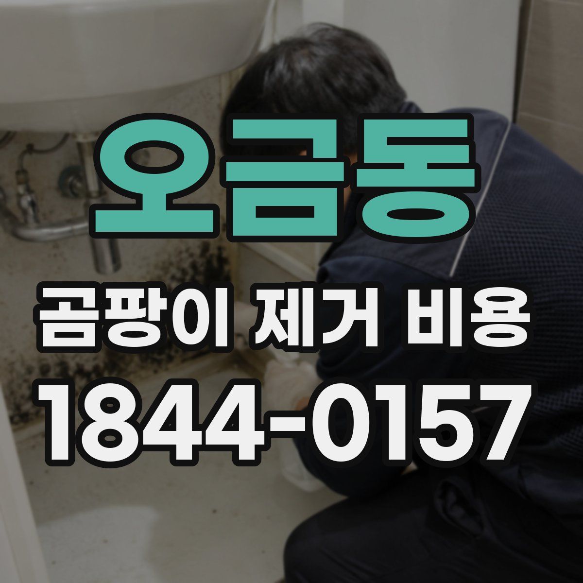 오금동 곰팡이 제거 비용