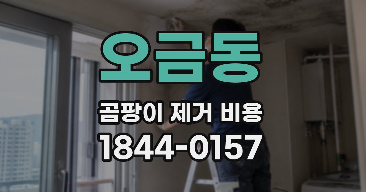 오금동 곰팡이 제거 비용