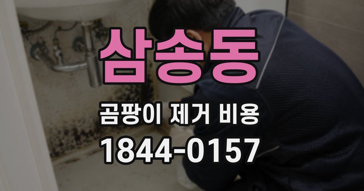 삼송동 곰팡이 제거 비용