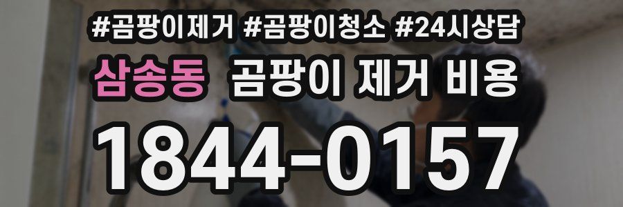 삼송동 곰팡이 제거 비용