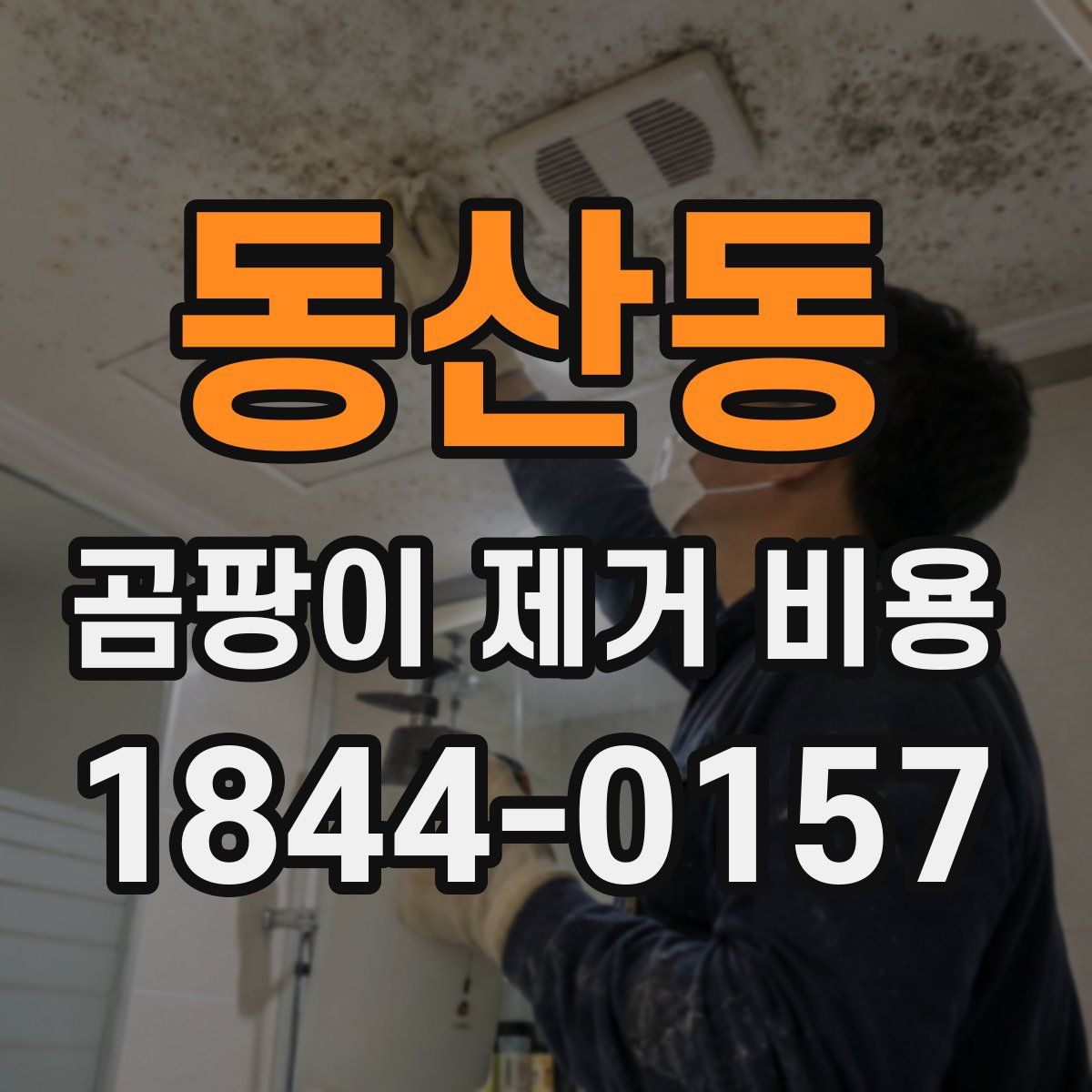 동산동 곰팡이 제거 비용