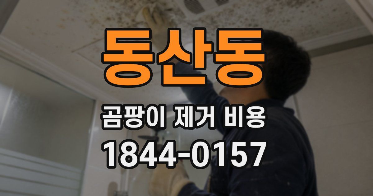 동산동 곰팡이 제거 비용