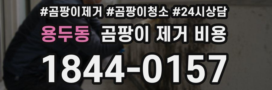 용두동 곰팡이 제거 비용