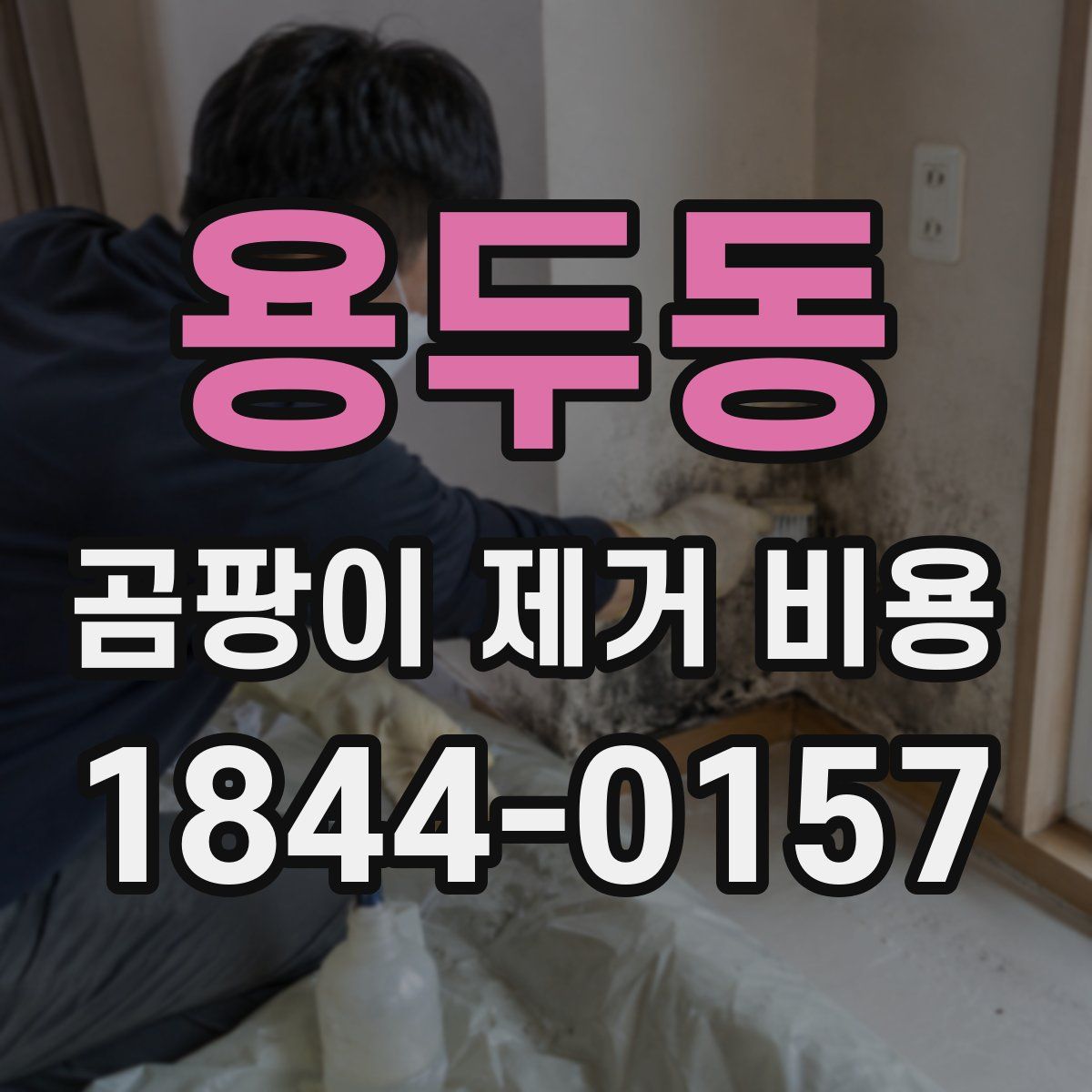 용두동 곰팡이 제거 비용