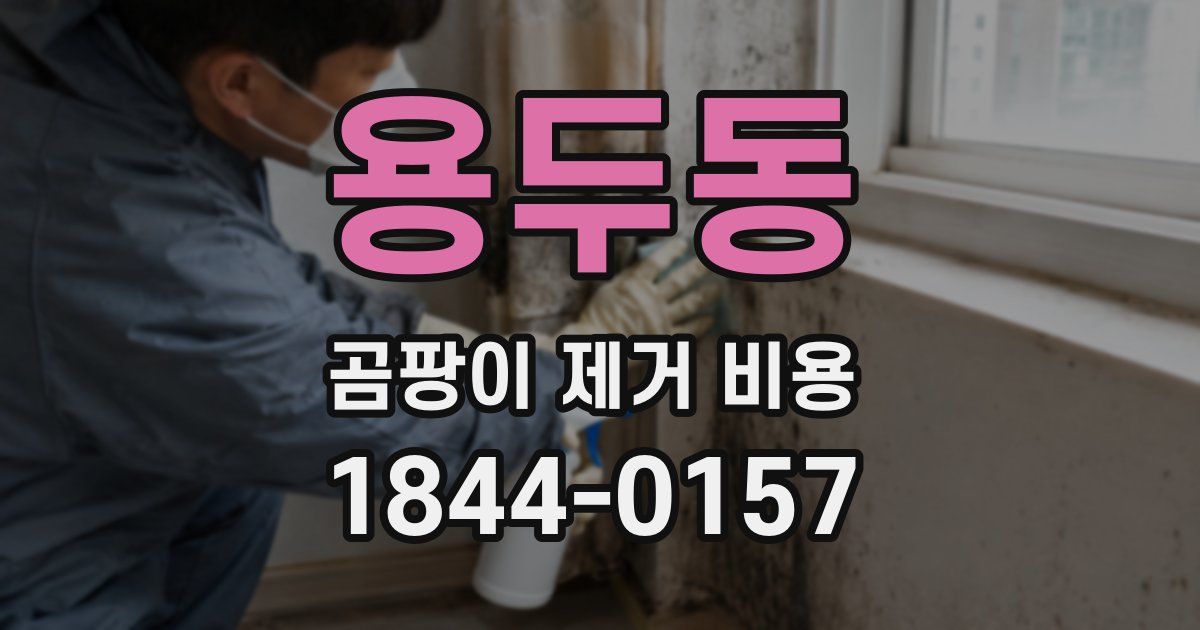 용두동 곰팡이 제거 비용