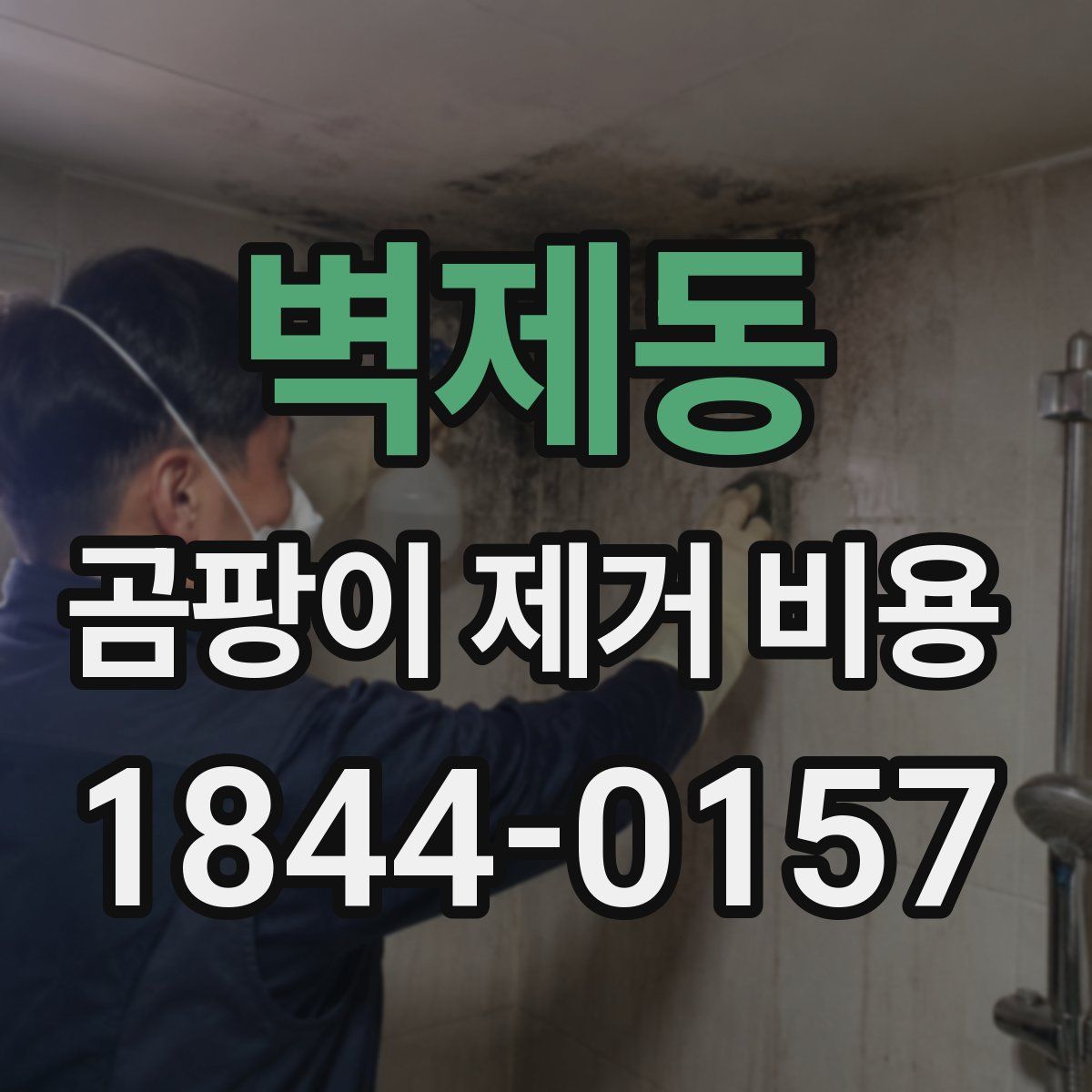 벽제동 곰팡이 제거 비용