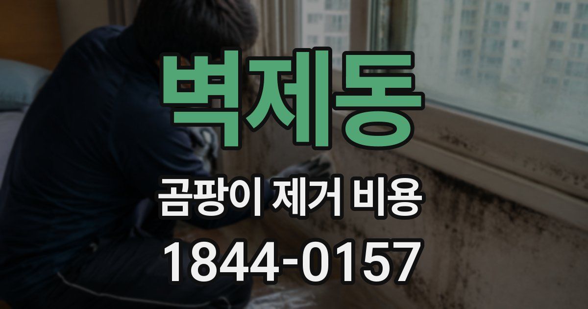 벽제동 곰팡이 제거 비용