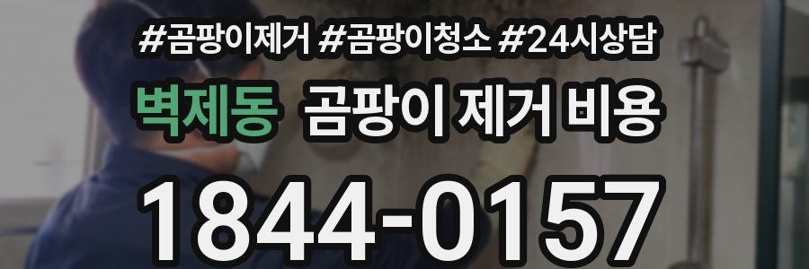 벽제동 곰팡이 제거 비용