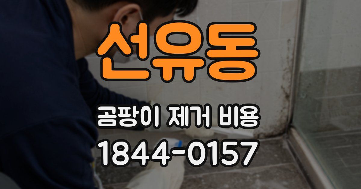 선유동 곰팡이 제거 비용