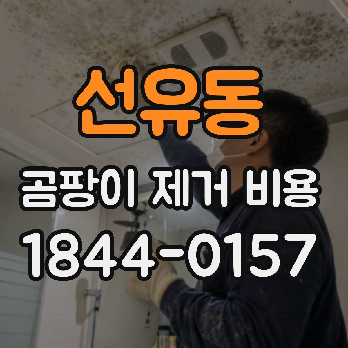 선유동 곰팡이 제거 비용