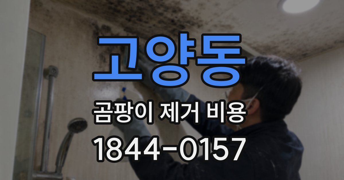 고양동 곰팡이 제거 비용