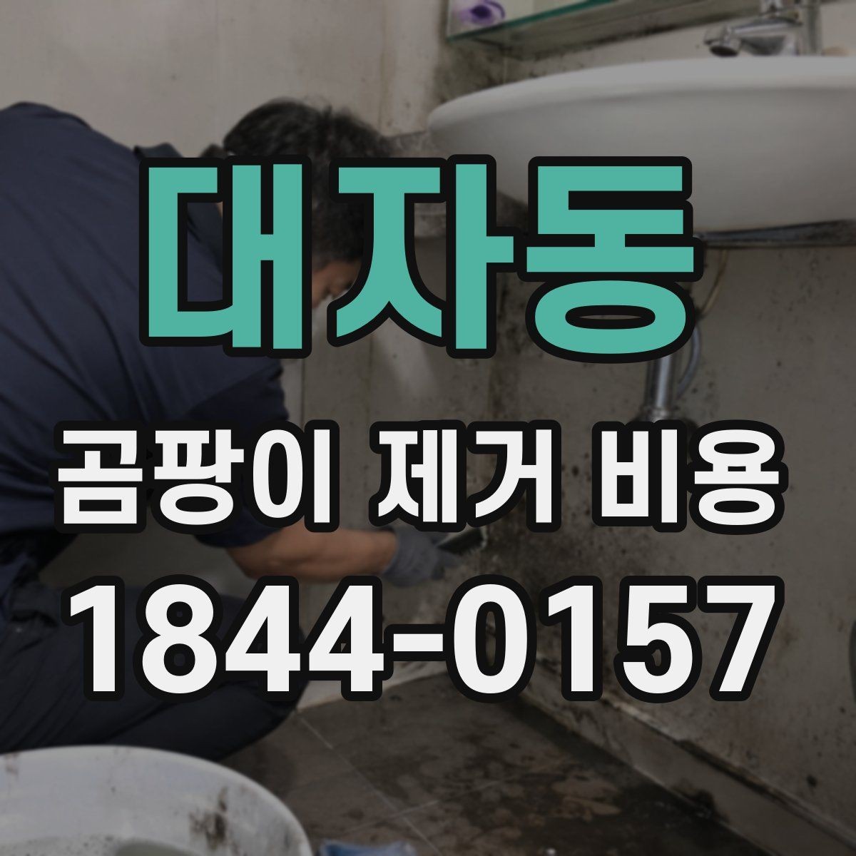 대자동 곰팡이 제거 비용 제거 후 환기와 관리까지 고려한 준비