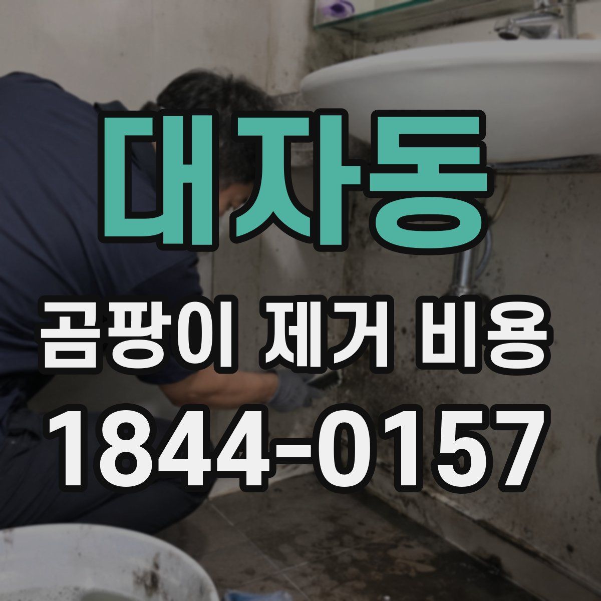 대자동 곰팡이 제거 비용