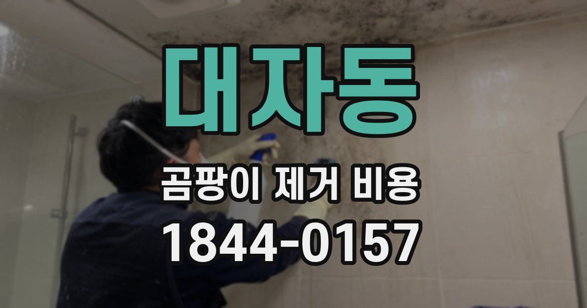 대자동 곰팡이 제거 비용