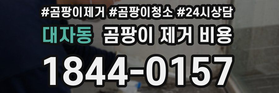 대자동 곰팡이 제거 비용