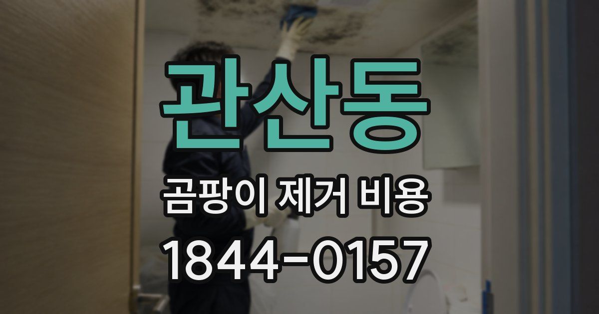 관산동 곰팡이 제거 비용