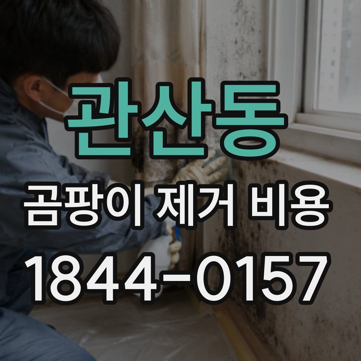 관산동 곰팡이 제거 비용