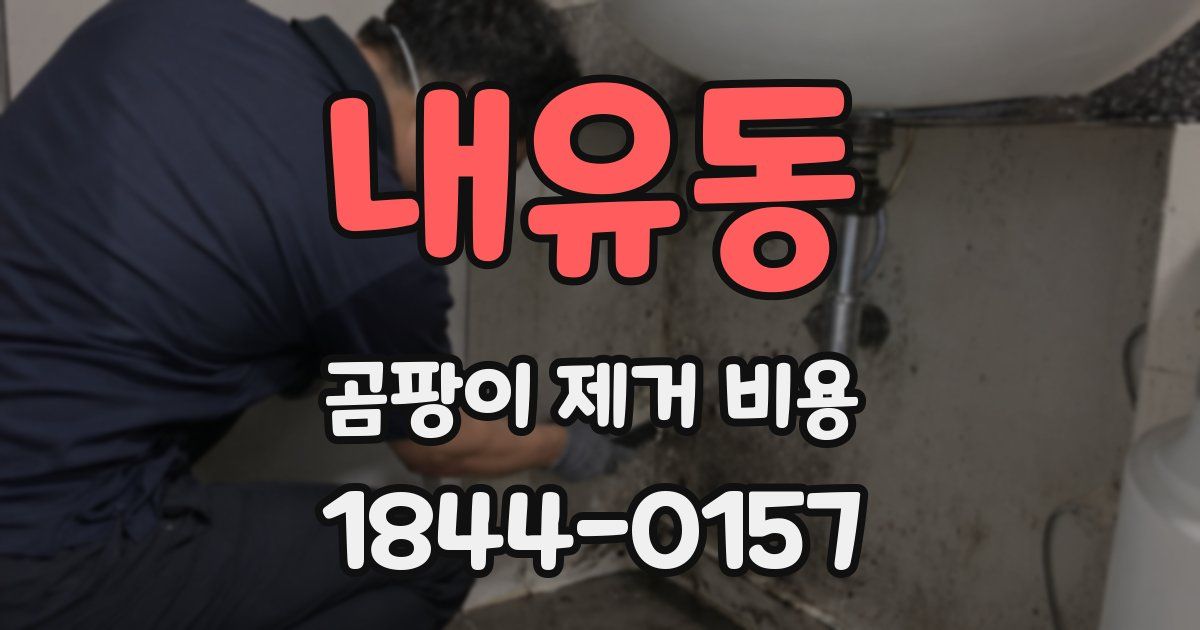 내유동 곰팡이 제거 비용