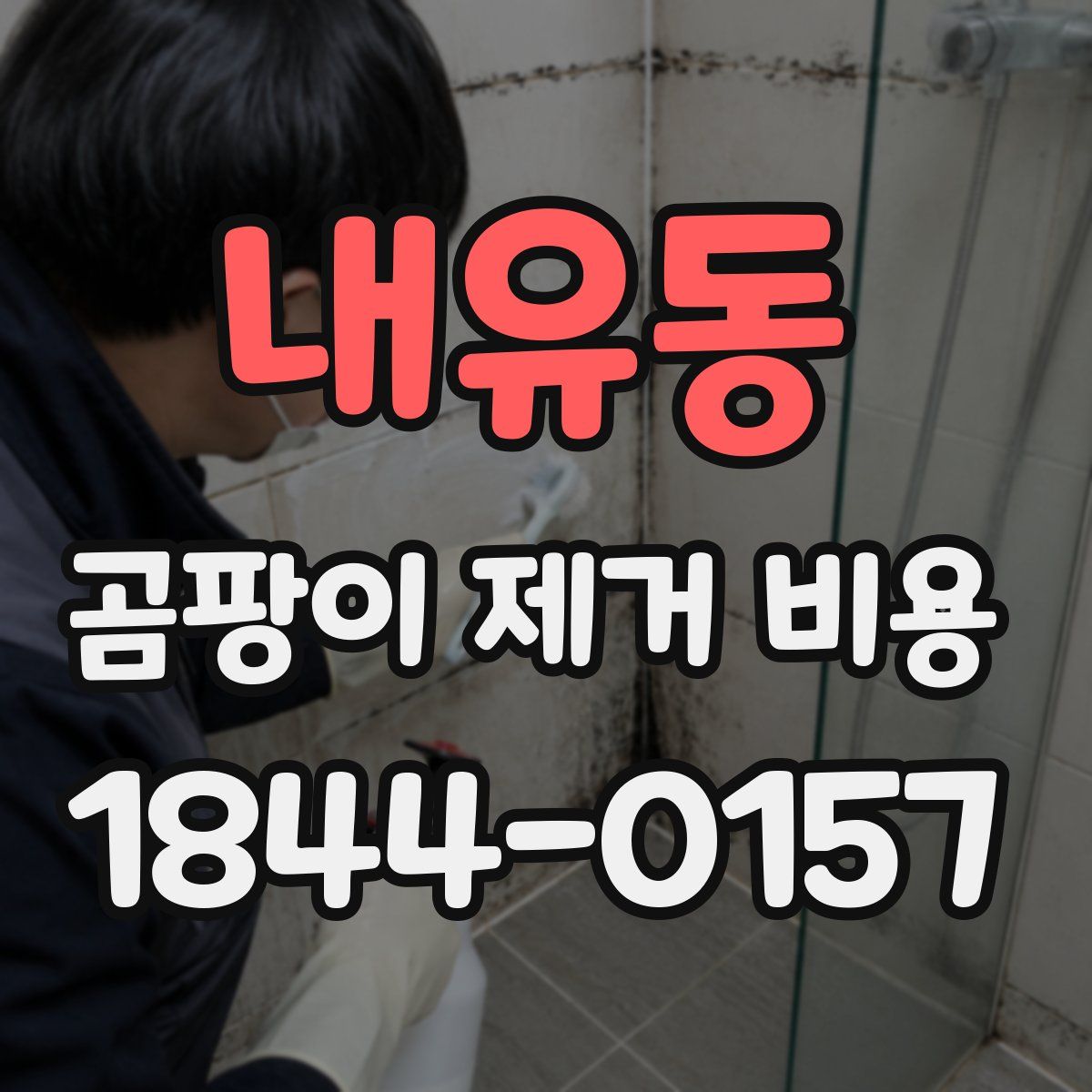 내유동 곰팡이 제거 비용