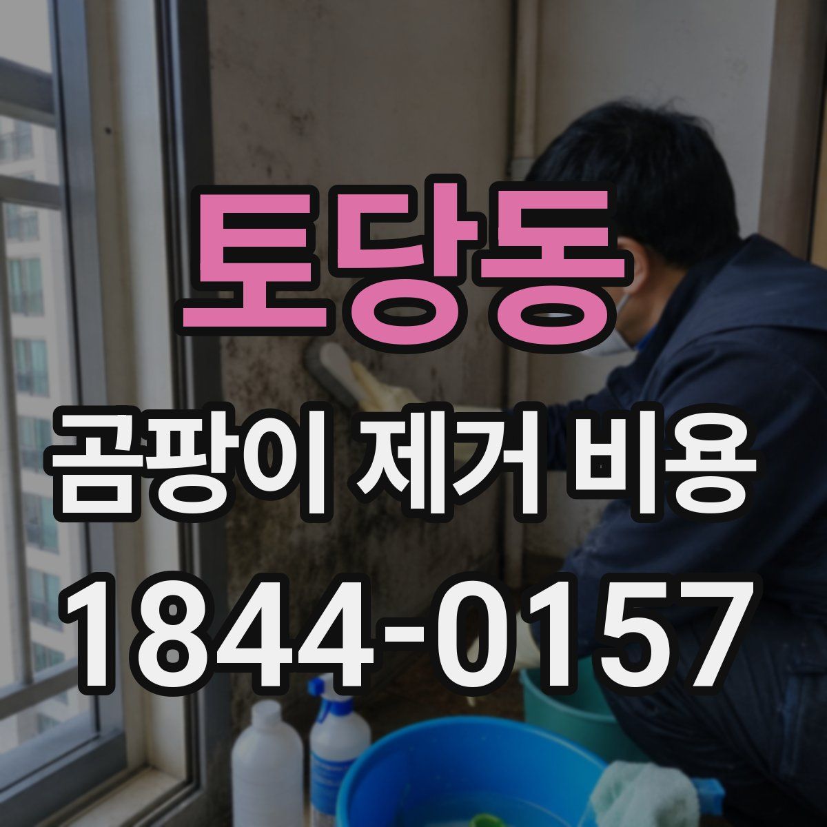 토당동 곰팡이 제거 비용