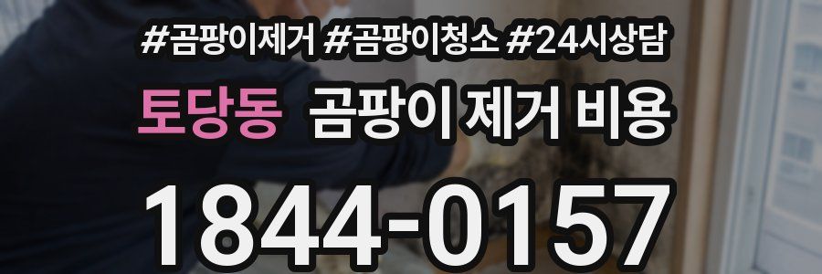 토당동 곰팡이 제거 비용