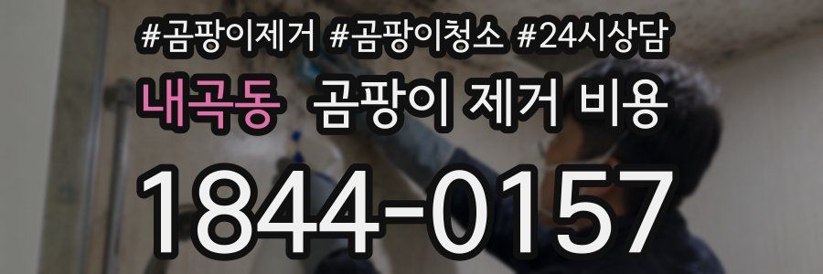 내곡동 곰팡이 제거 비용