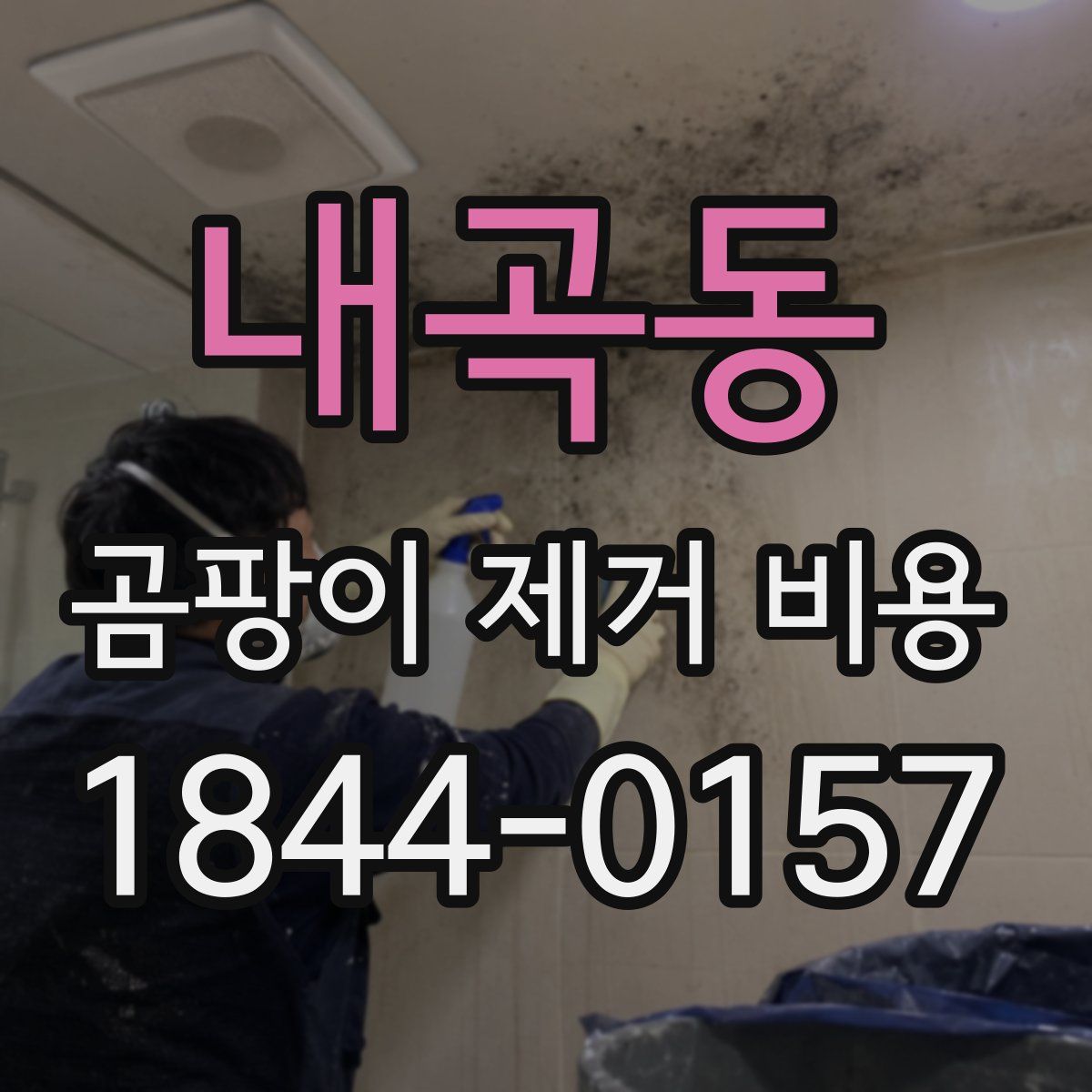 내곡동 곰팡이 제거 비용