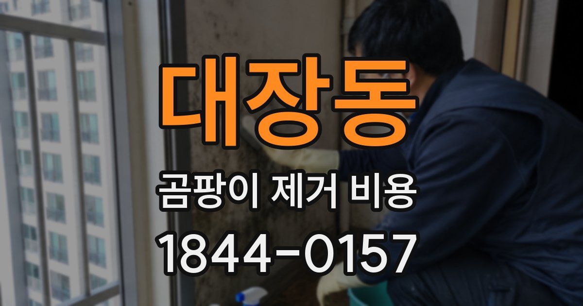 대장동 곰팡이 제거 비용