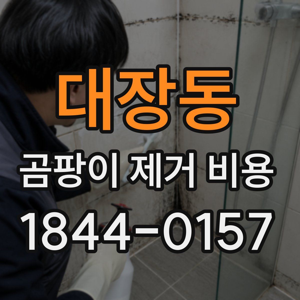 대장동 곰팡이 제거 비용