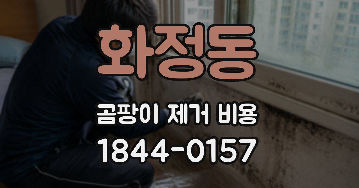 화정동 곰팡이 제거 비용