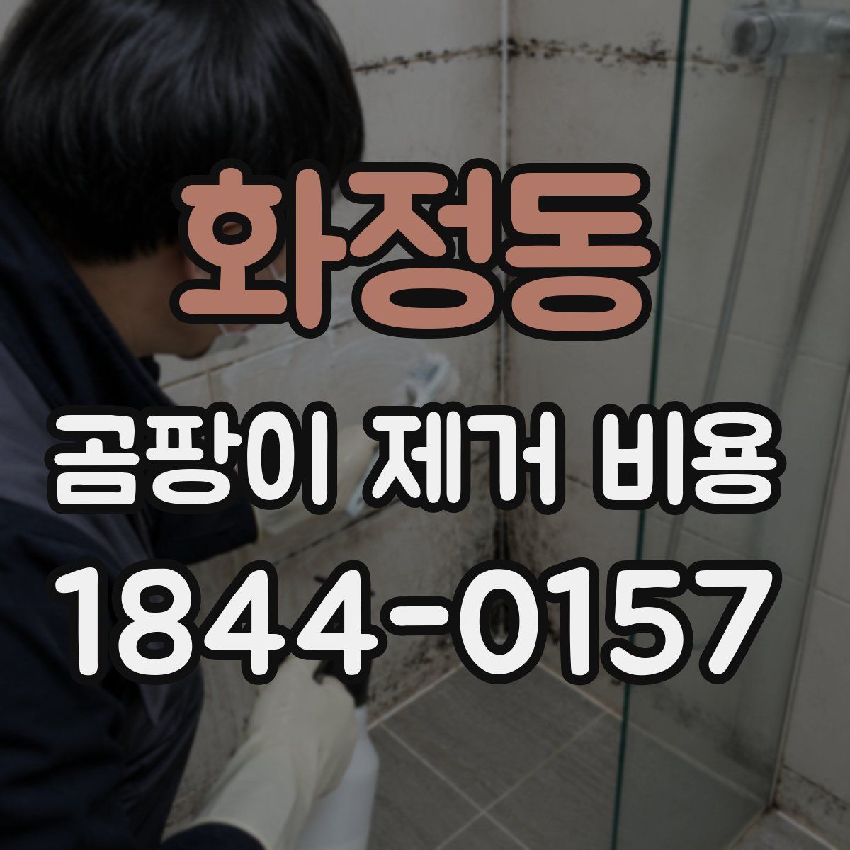 화정동 곰팡이 제거 비용