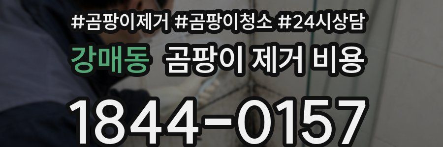강매동 곰팡이 제거 비용
