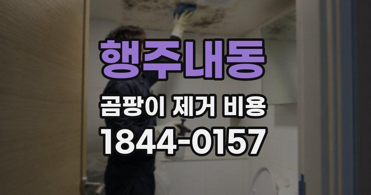 행주내동 곰팡이 제거 비용