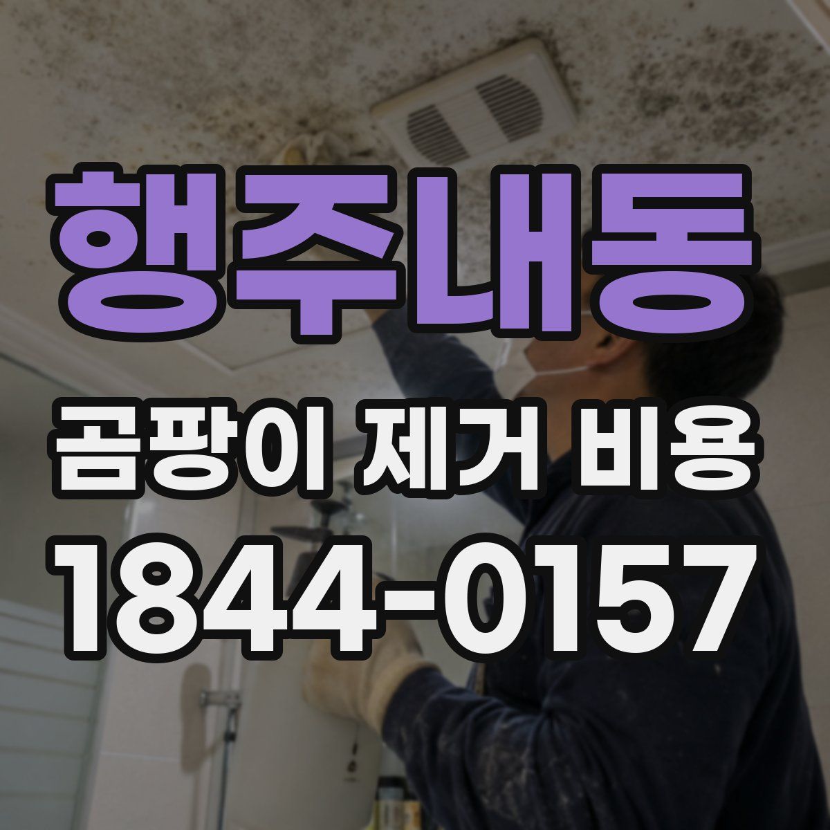 행주내동 곰팡이 제거 비용