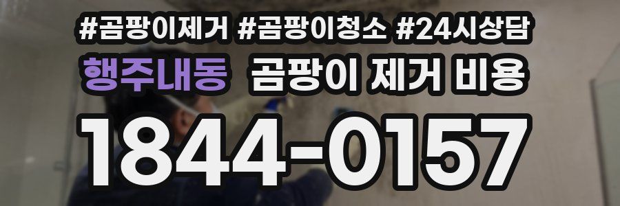 행주내동 곰팡이 제거 비용