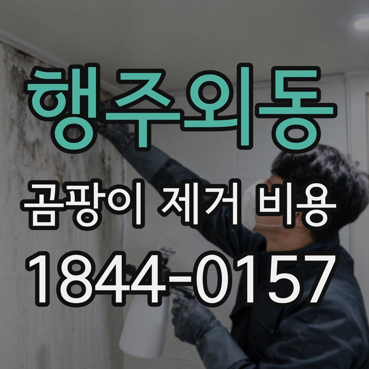 행주외동 곰팡이 제거 비용