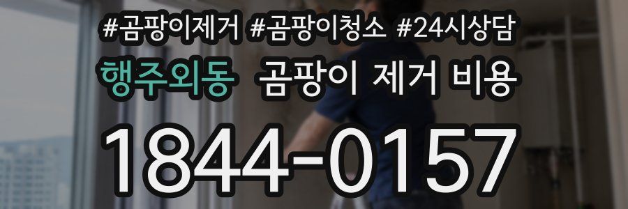 행주외동 곰팡이 제거 비용